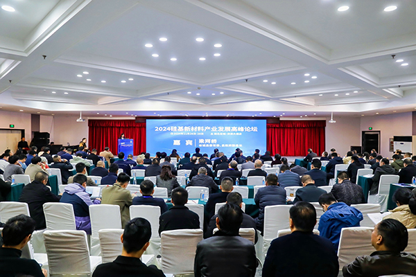頂立科技參加硅基新材料高峰論壇，分享高純石英制備熱工裝備最新技術(shù) (2).jpg