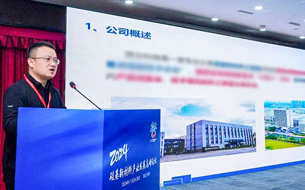 頂立科技參加硅基新材料高峰論壇，分享高純石英制備熱工裝備最新技術(shù)